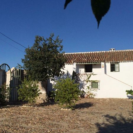Casa Del Almezo Guest House Almodovar del Rio Exterior photo