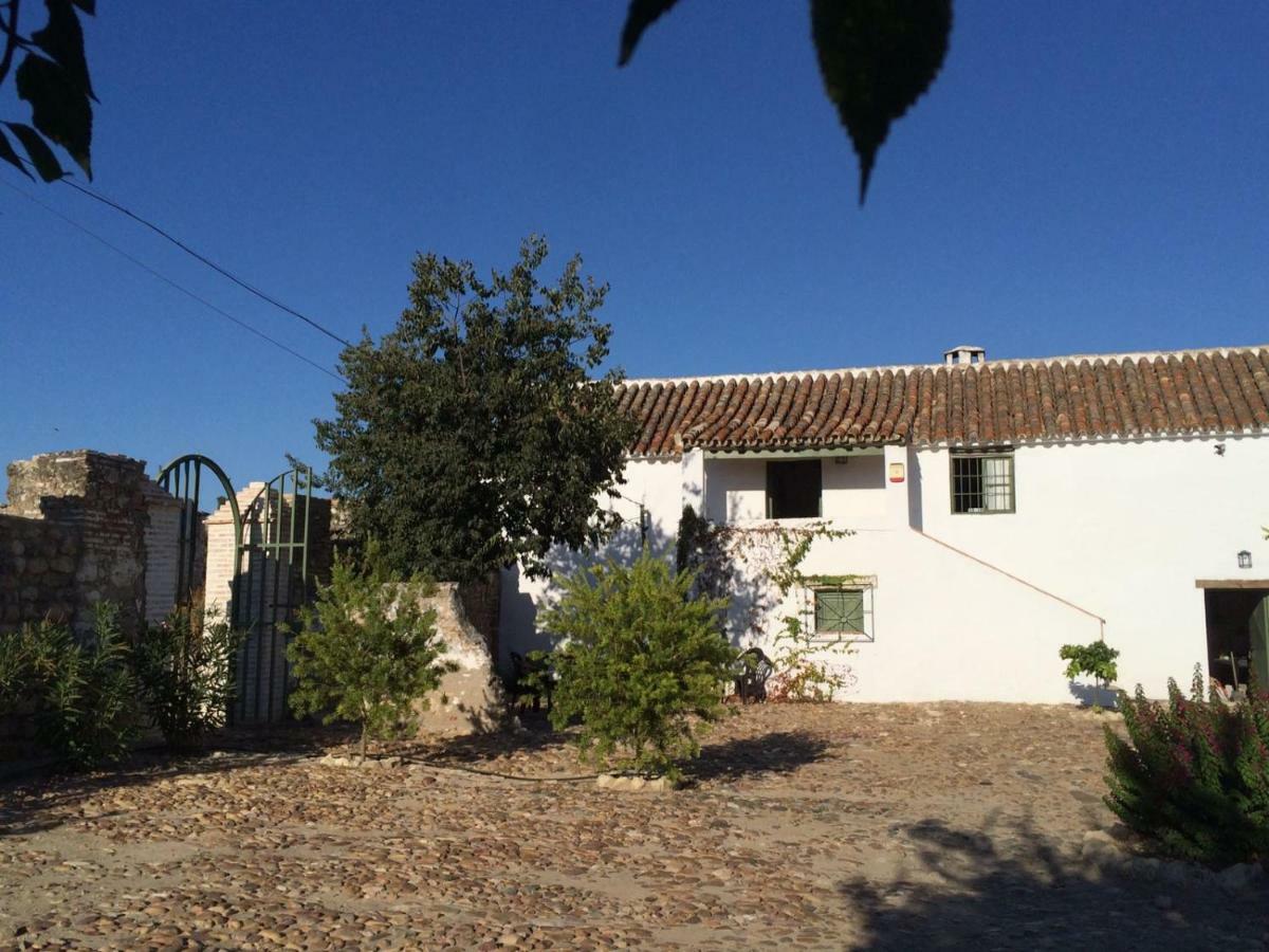 Casa Del Almezo Guest House Almodovar del Rio Exterior photo